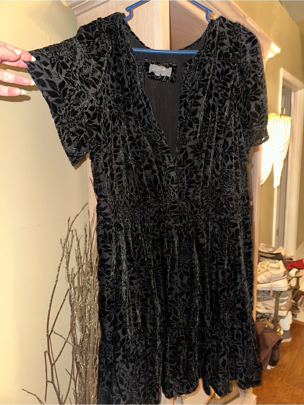 Anthropologie velvet print dress 2X